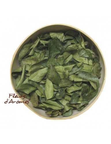 Kaloupilé (Caloupilé) feuille ou feuille curry
